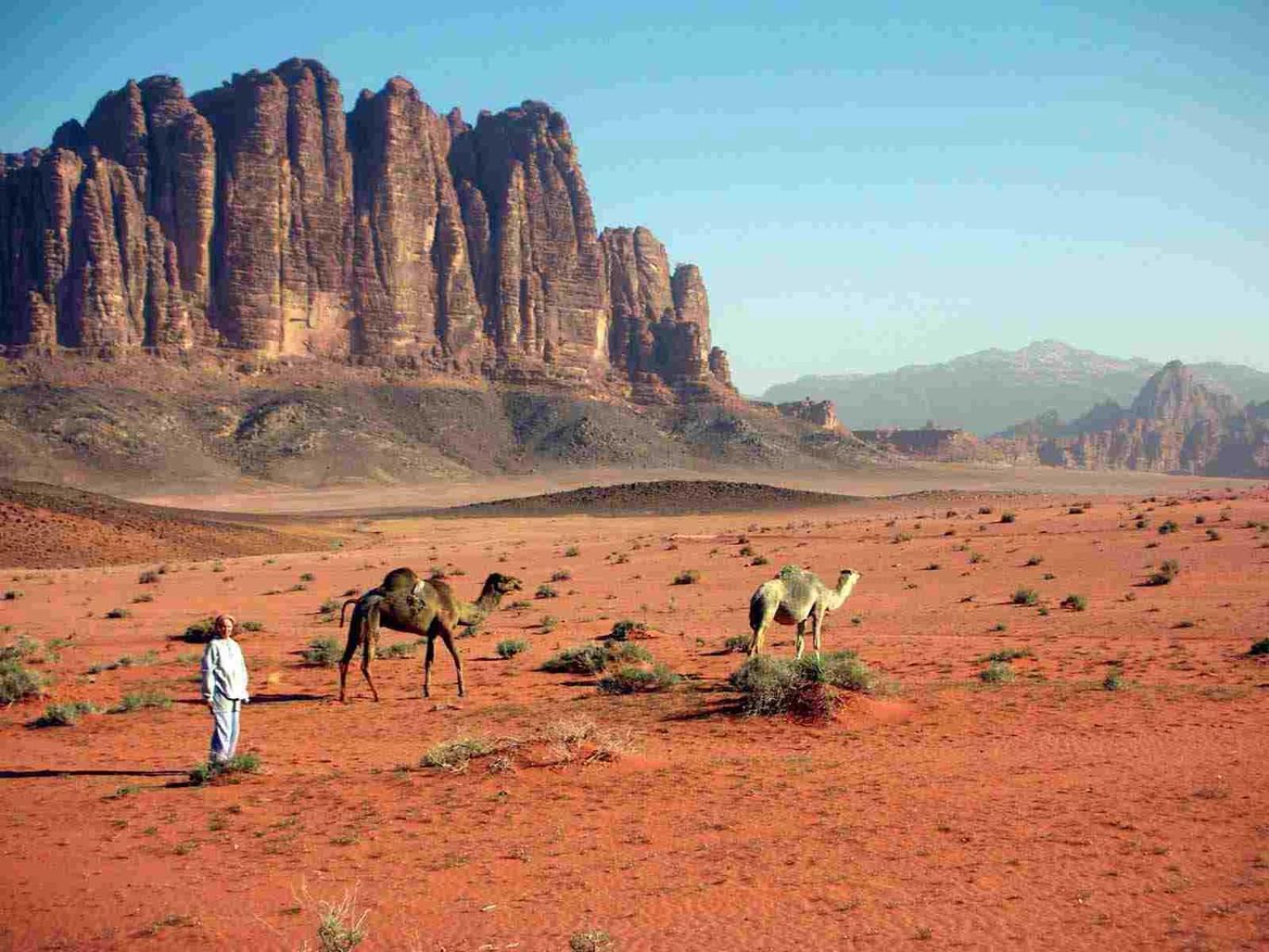 Wadi Rum Mundo Camp العقبة المظهر الخارجي الصورة