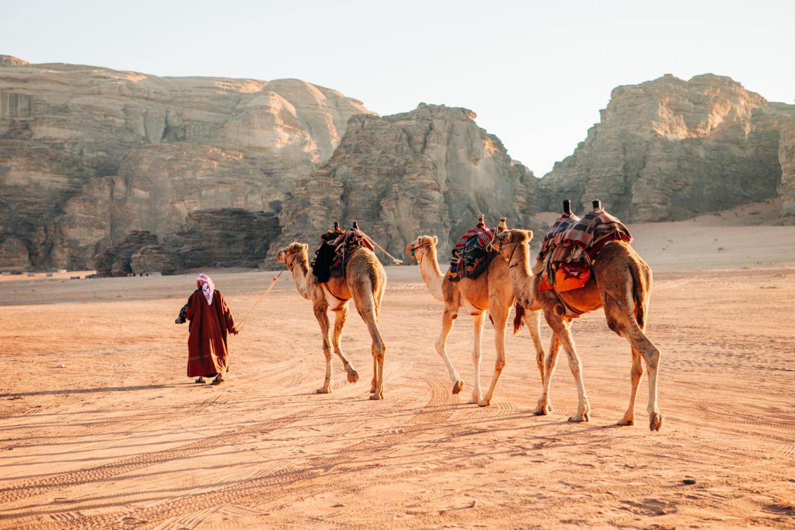 Wadi Rum Mundo Camp العقبة المظهر الخارجي الصورة