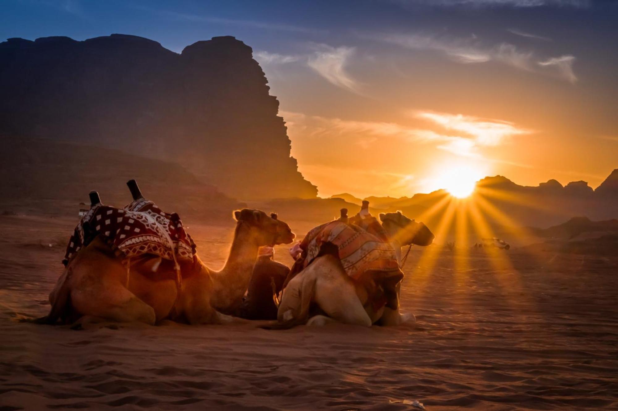 Wadi Rum Mundo Camp العقبة المظهر الخارجي الصورة